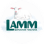 LIGHTING TRADING SERVICE GROUP