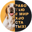 Мир хвостатых
