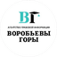 Воробьевы горы