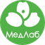 Медлаб
