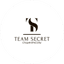 TeamSecret