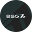 Группа компаний BSG