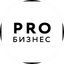 ПРОБИЗНЕС
