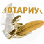 Нотариус Доронина Александра Андреевна