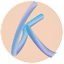 Кисточки (ООО Кисточки Финанс)