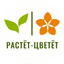 Растет Цветет