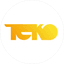 ТЕКО, Научно-производственная компания