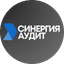 Синергия Аудит
