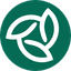 Green Side