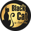 Black cat