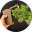 Fitosystems