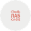 Вылегжанина Полина Дмитриевна