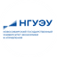 ФГБОУ ВО НОВОСИБИРСКИЙ ГОСУДАРСТВЕННЫЙ УНИВЕРСИТЕТ ЭКОНОМИКИ И УПРАВЛЕНИЯ НИНХ