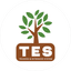 TES-центр