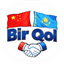 Birqol Group
