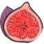 INЖИР