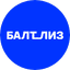 Балтийский лизинг, группа компаний