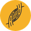 Наука