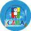 ЧОУ Лицей САША
