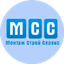 МОНТАЖСТРОЙСЕРВИС