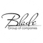 BLADE, Группа компаний