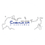 Савицкая и партнёры