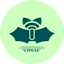 НПО Стрела