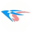 FelenaSoft Company Ltd.