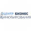ГБУ Челябинской области Инновационный бизнес-инкубатор