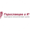 Гориславцев и К, Аудиторская фирма