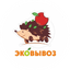 Эковывоз