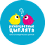 Сеть логопедических центров Разноцветные цыплята