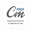 Стандарт Проф