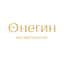 Онегин