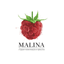 Студия маникюра Malina nails profi