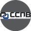 Профессиональная Коллекторская организация ССПВ