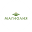 Магнолия, Сеть магазинов