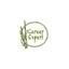 Careerexpert