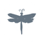 DragonFly Studio