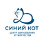 Центр образования и творчества Синий Кот