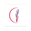 НОУ Canadian International School of Tashkent