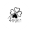 FRINTA