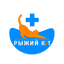 Сеть ветеринарных клиник Рыжий Кот (ИП Баутина Анна Александровна)