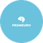 Proneuro (ИП Усманова Альфия Рамилевна)