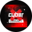 Cyber X (ИП Постников Павел Сергеевич)