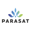 PARASAT II