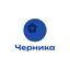 Колодяжная Светлана Сергеевна
