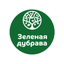 Зеленая дубрава