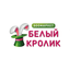 Белый Кролик (ИП Оникиенко Роман Евгеньевич)
