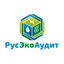 РусЭкоАудит